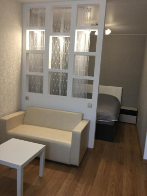 Apartment on Rozhdestvenskaya, Mytishchi, Mytishchi